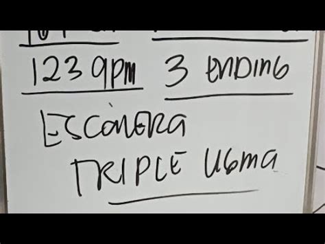 elmer vlog today|P.M.P 3D SPECIAL HEARING, MARCH 11, 2023 .